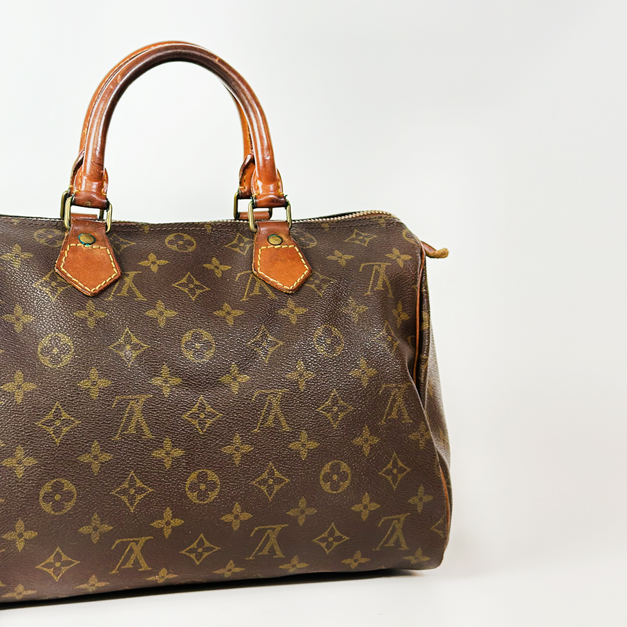 Louis Vuitton Speedy (30)