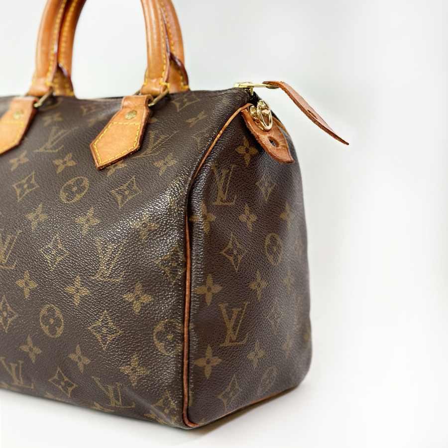 Louis Vuitton Speedy (25)