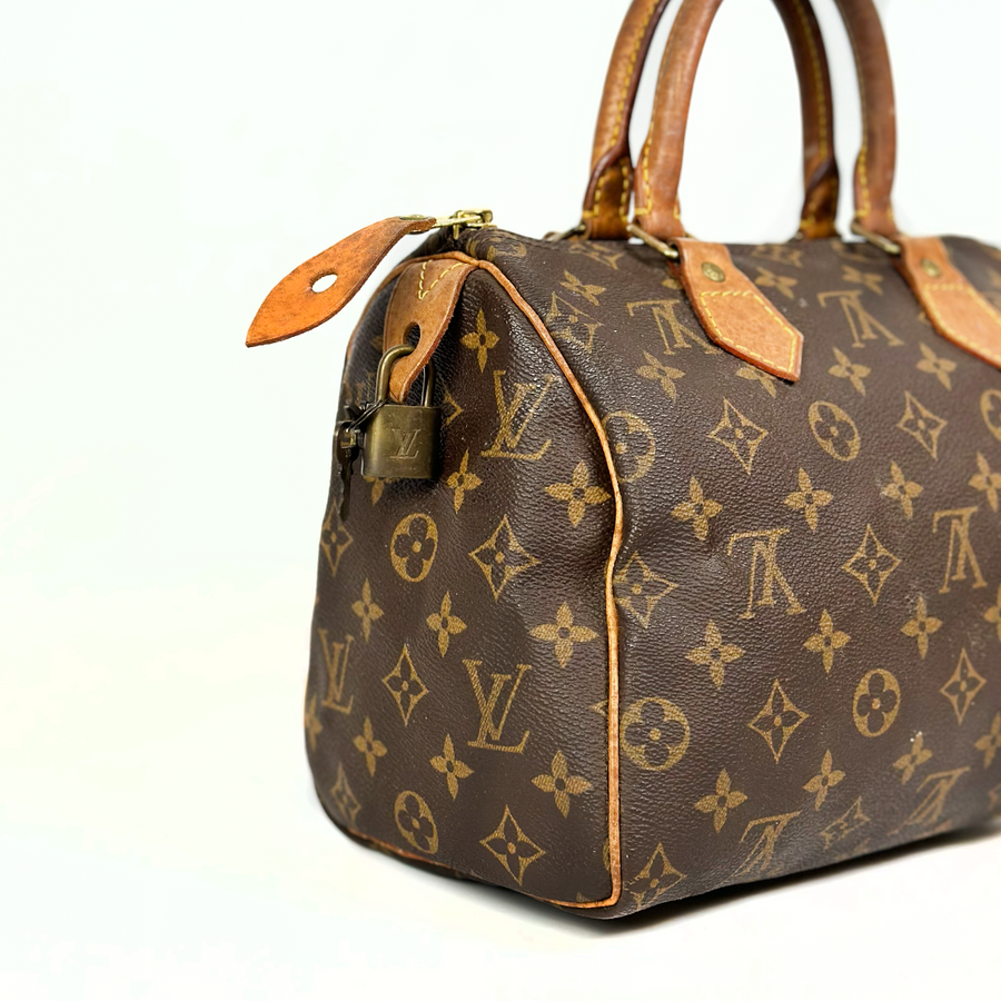 Louis Vuitton Speedy (25)