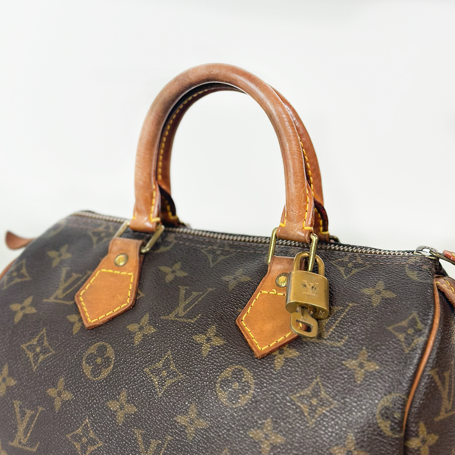 Louis Vuitton Speedy (25)