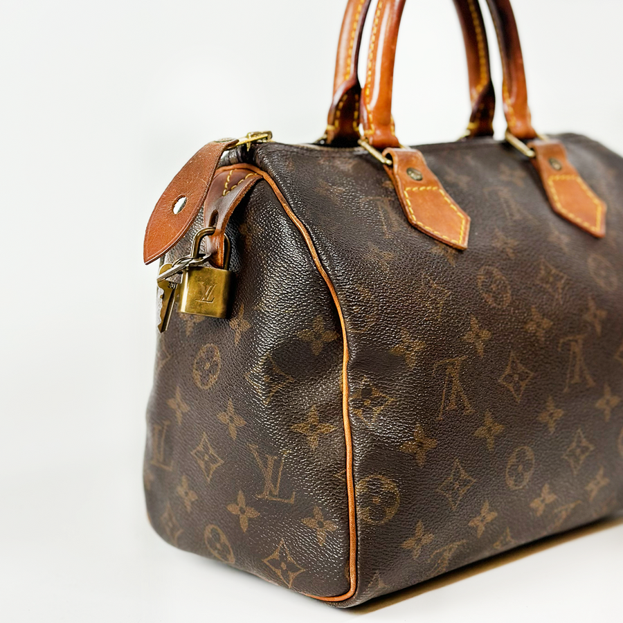 Louis Vuitton Speedy (25)