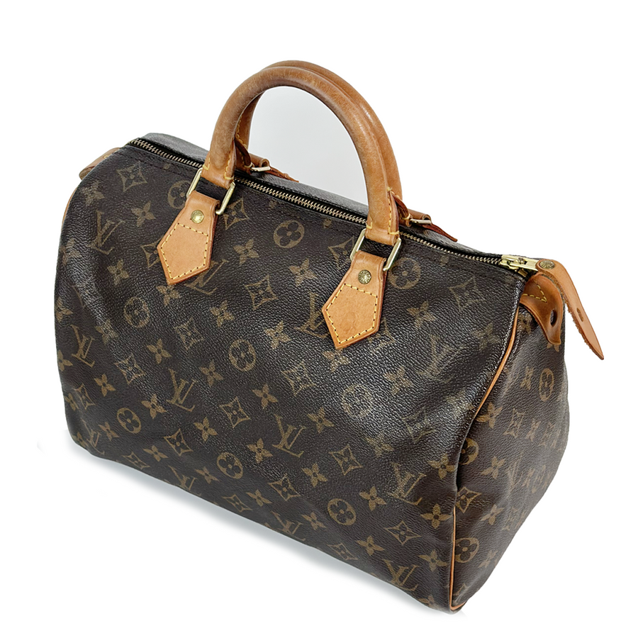 Louis Vuitton Speedy (30)