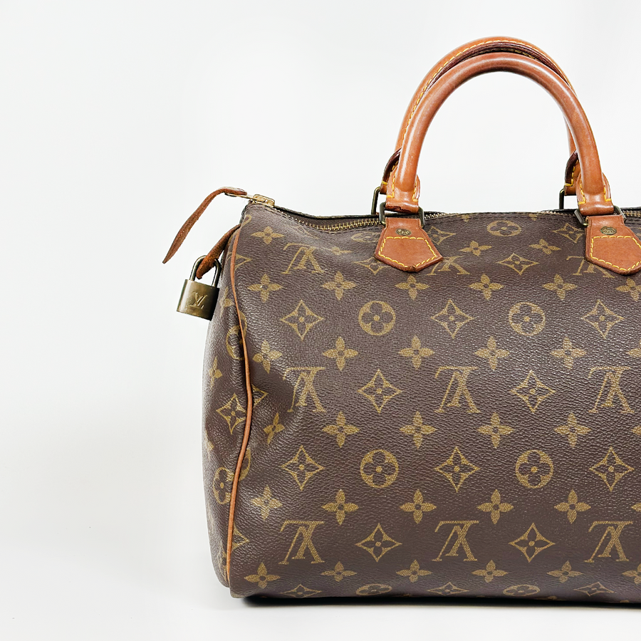 Louis Vuitton Speedy (30)