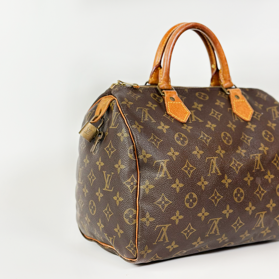 Louis Vuitton Speedy (30)