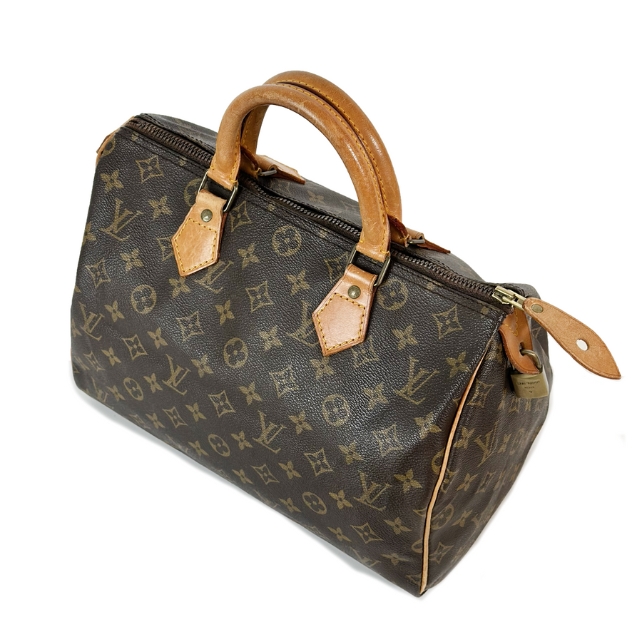 Louis Vuitton Speedy (30)