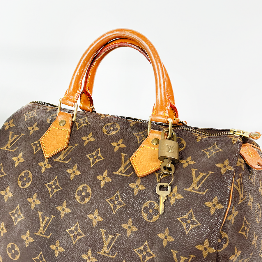 Louis Vuitton Speedy (30)