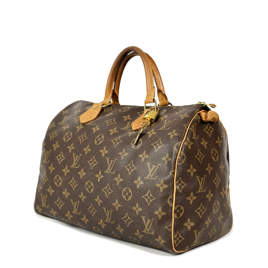 Louis Vuitton Speedy (30)