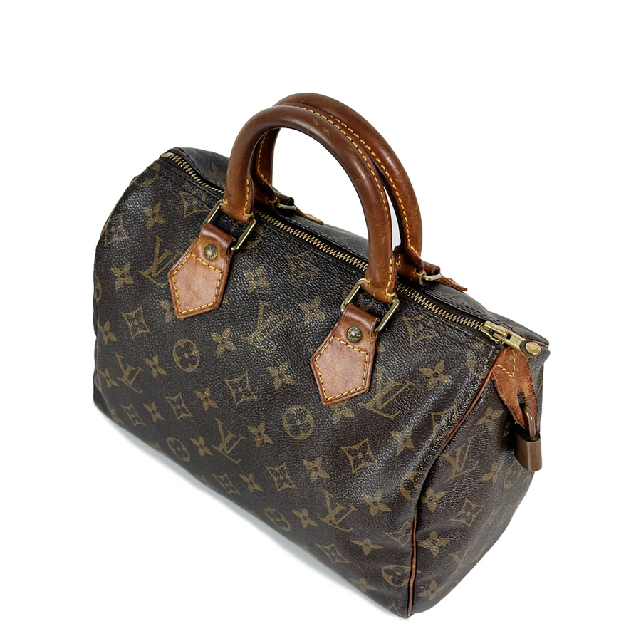 Louis Vuitton Speedy (25)