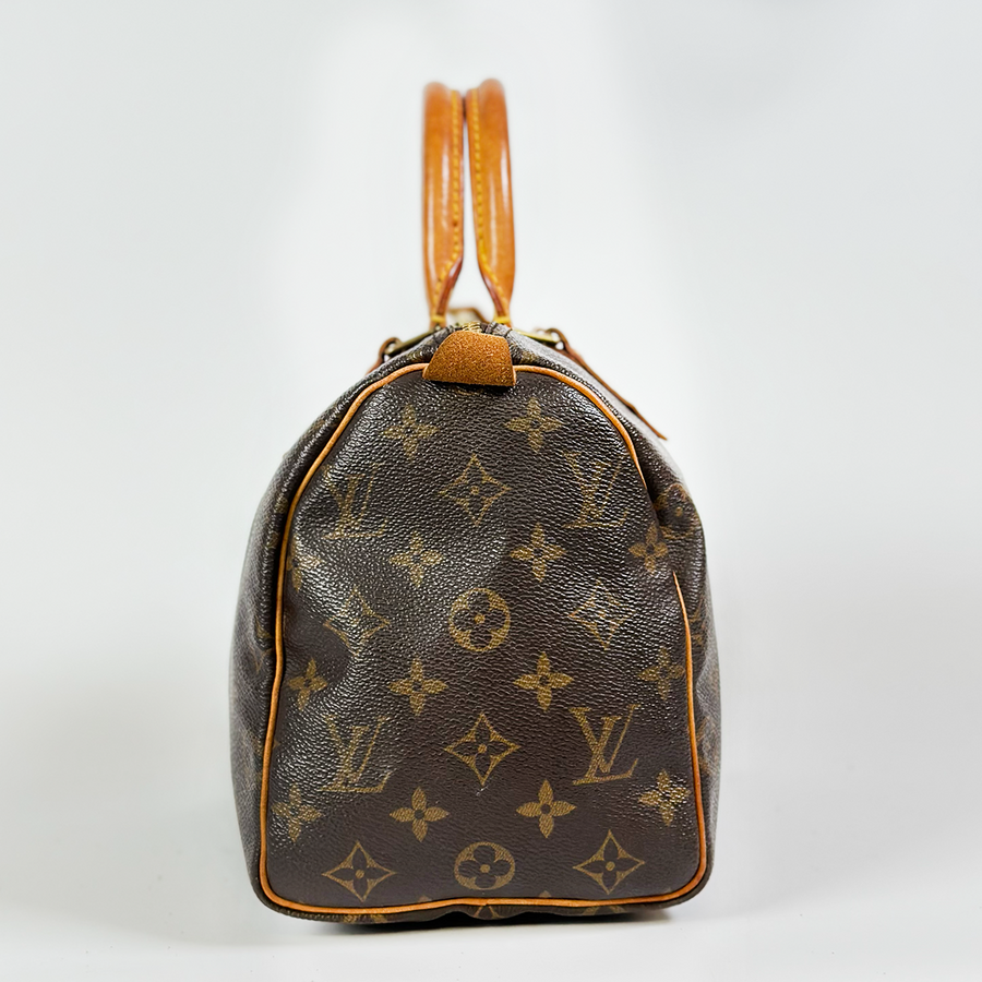 Louis Vuitton Speedy (25)