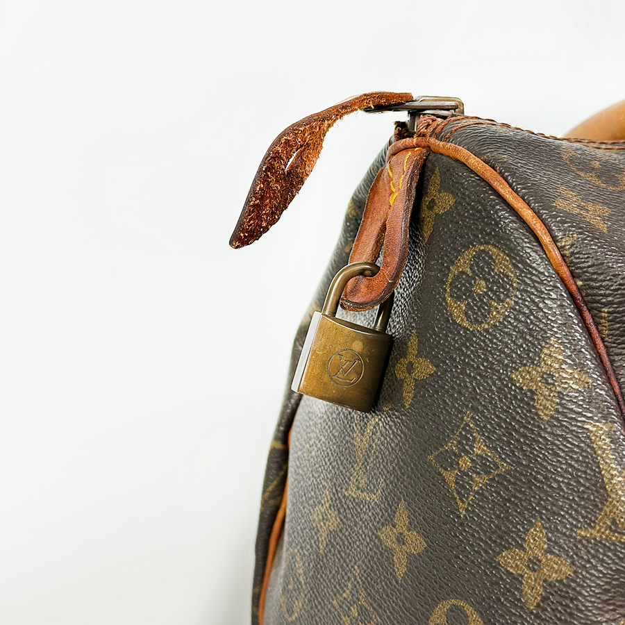 Louis Vuitton Speedy (30)