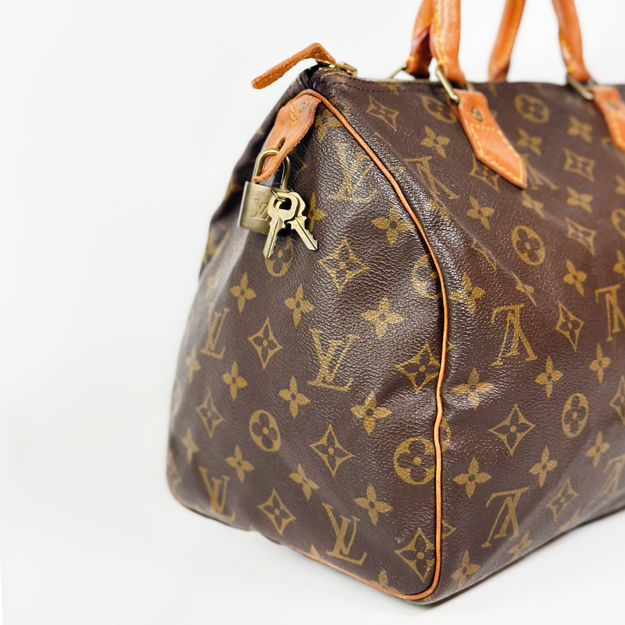 Louis Vuitton Speedy (30)