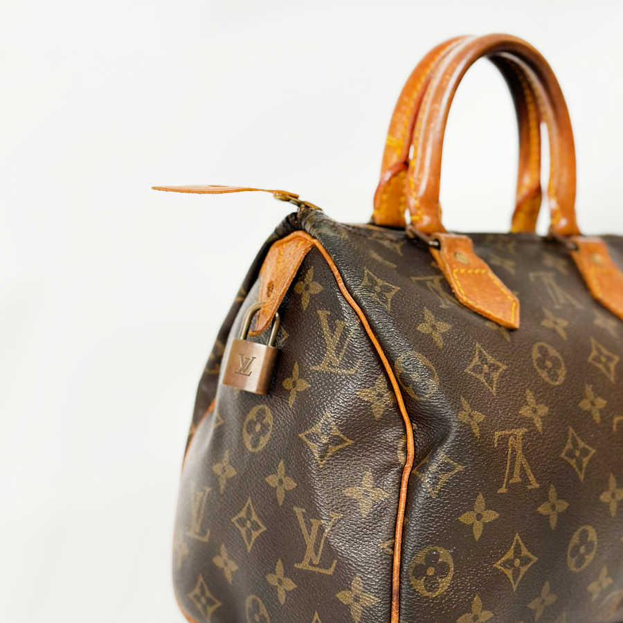 Louis Vuitton Speedy (25)