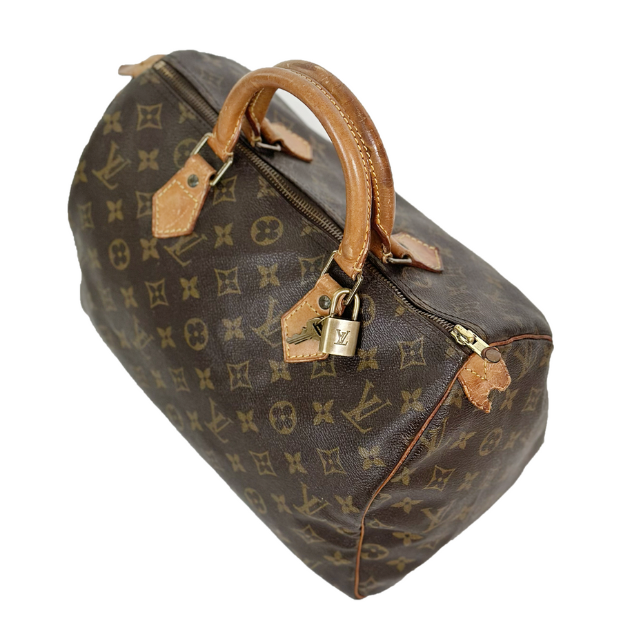 Louis Vuitton Speedy (30)