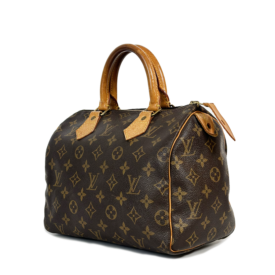 Louis Vuitton Speedy (25)