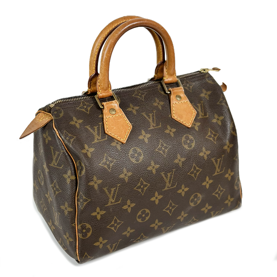 Louis Vuitton Speedy (25)