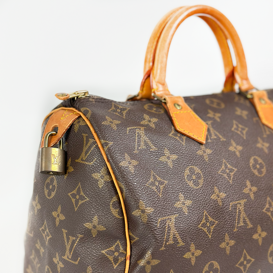 Louis Vuitton Speedy (30)