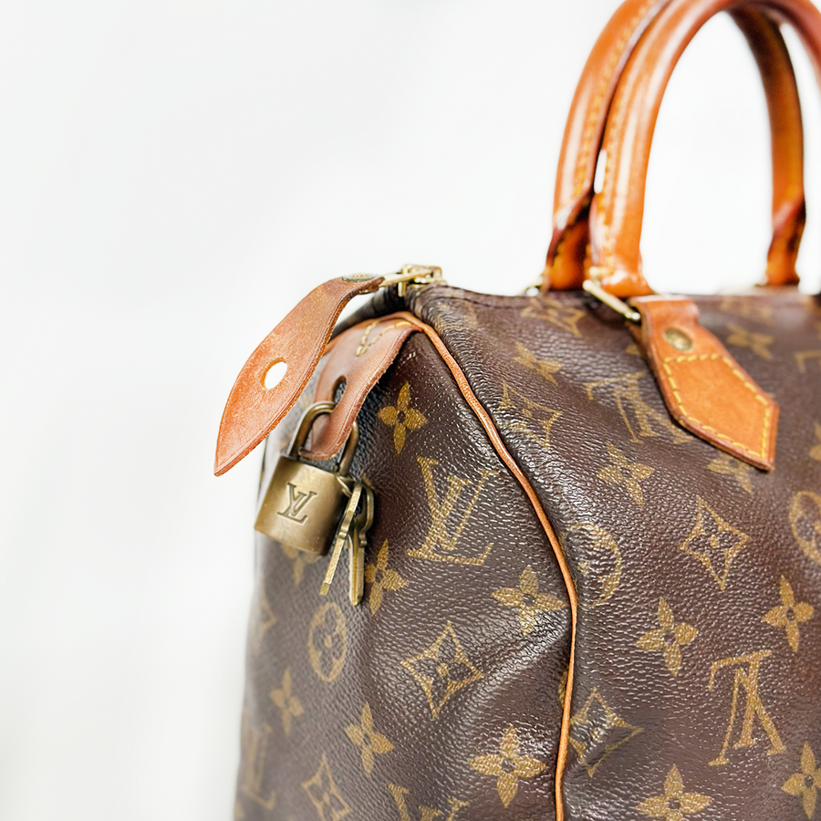 Louis Vuitton Speedy (25)