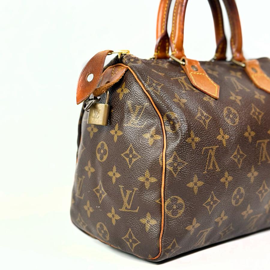 Louis Vuitton Speedy (25)