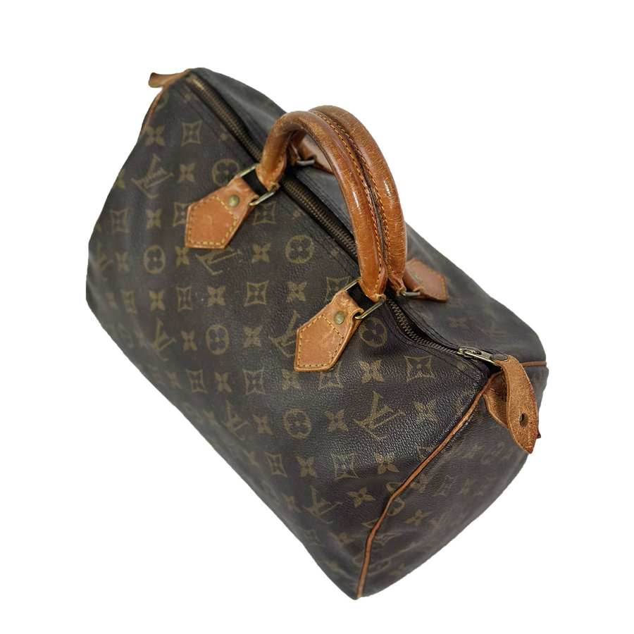 Louis Vuitton Speedy (30)