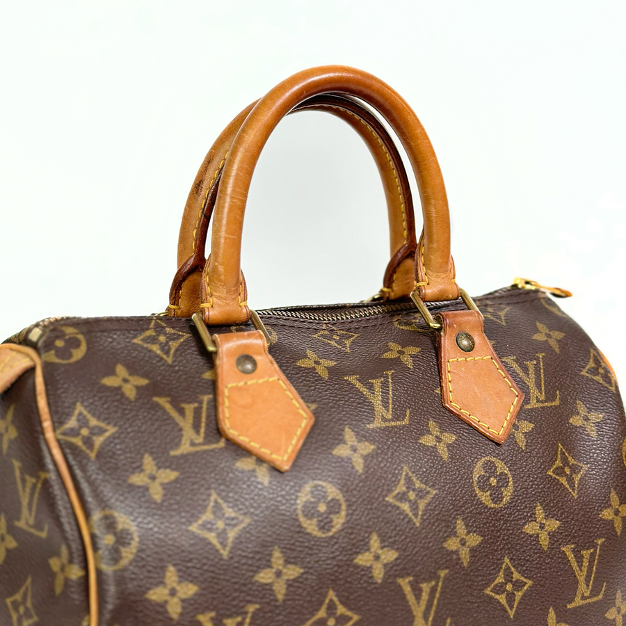 Louis Vuitton Speedy (25)