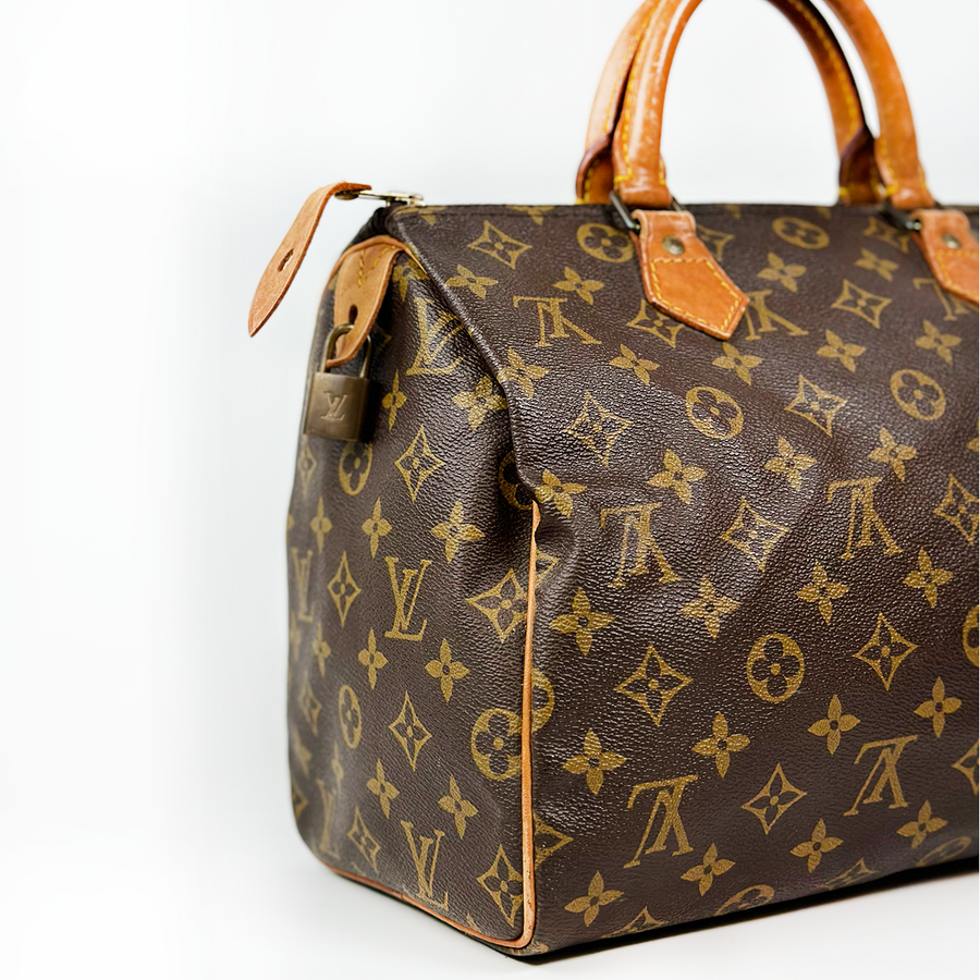 Louis Vuitton Speedy (30)