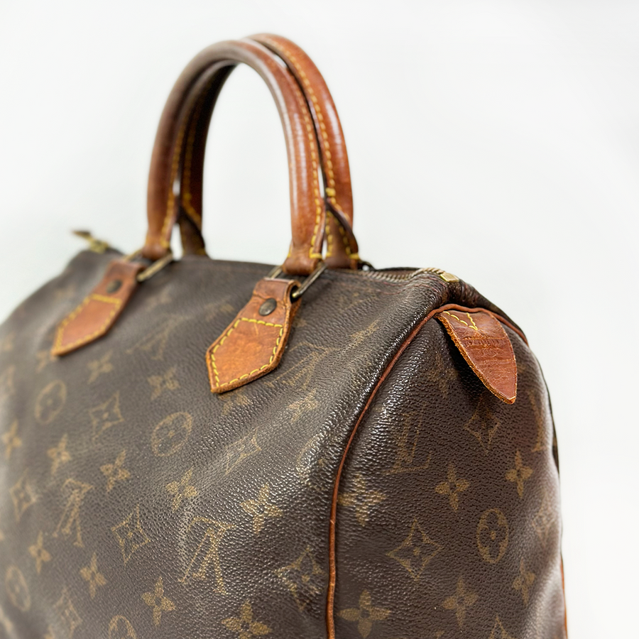 Louis Vuitton Speedy (25)