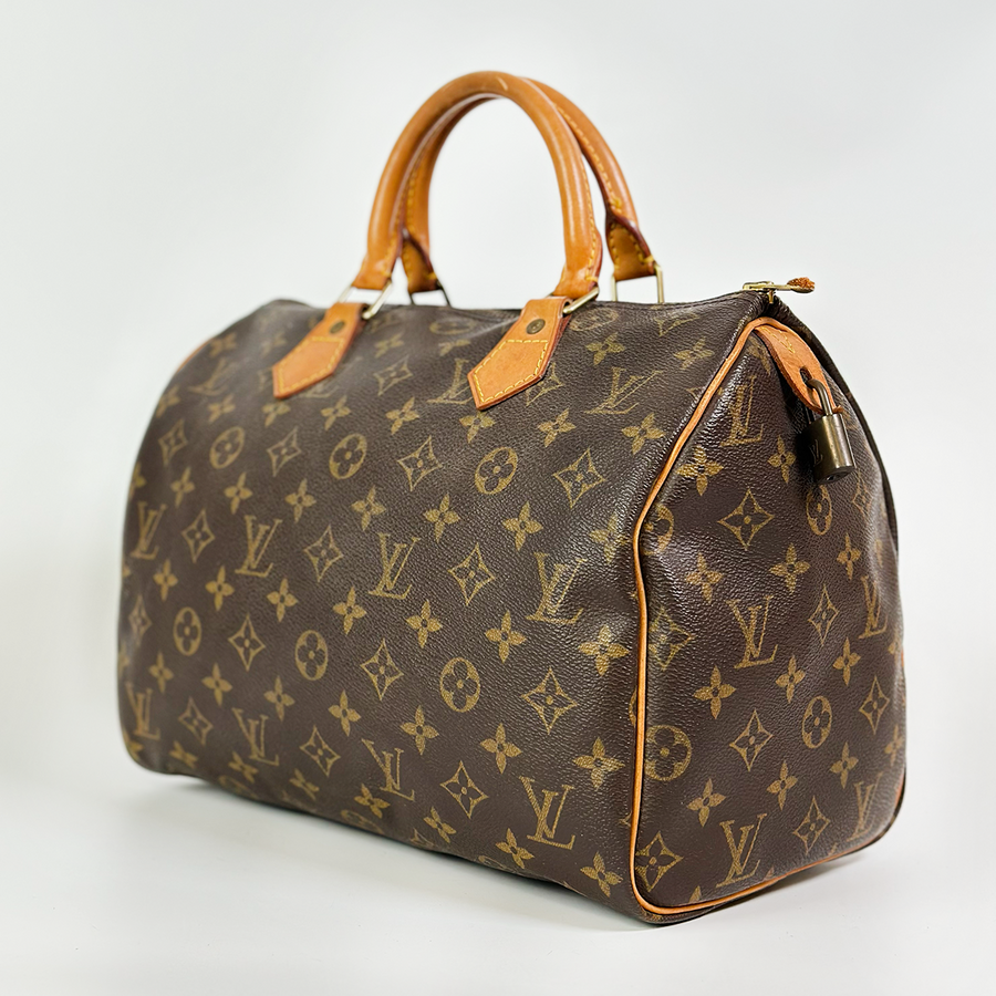 Louis Vuitton Speedy (30)