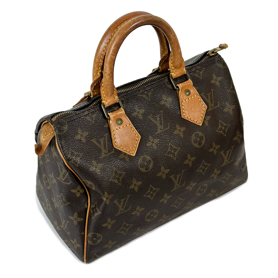 Louis Vuitton Speedy (25)