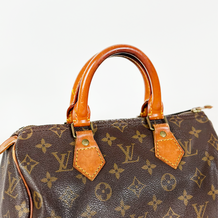 Louis Vuitton Speedy (25)