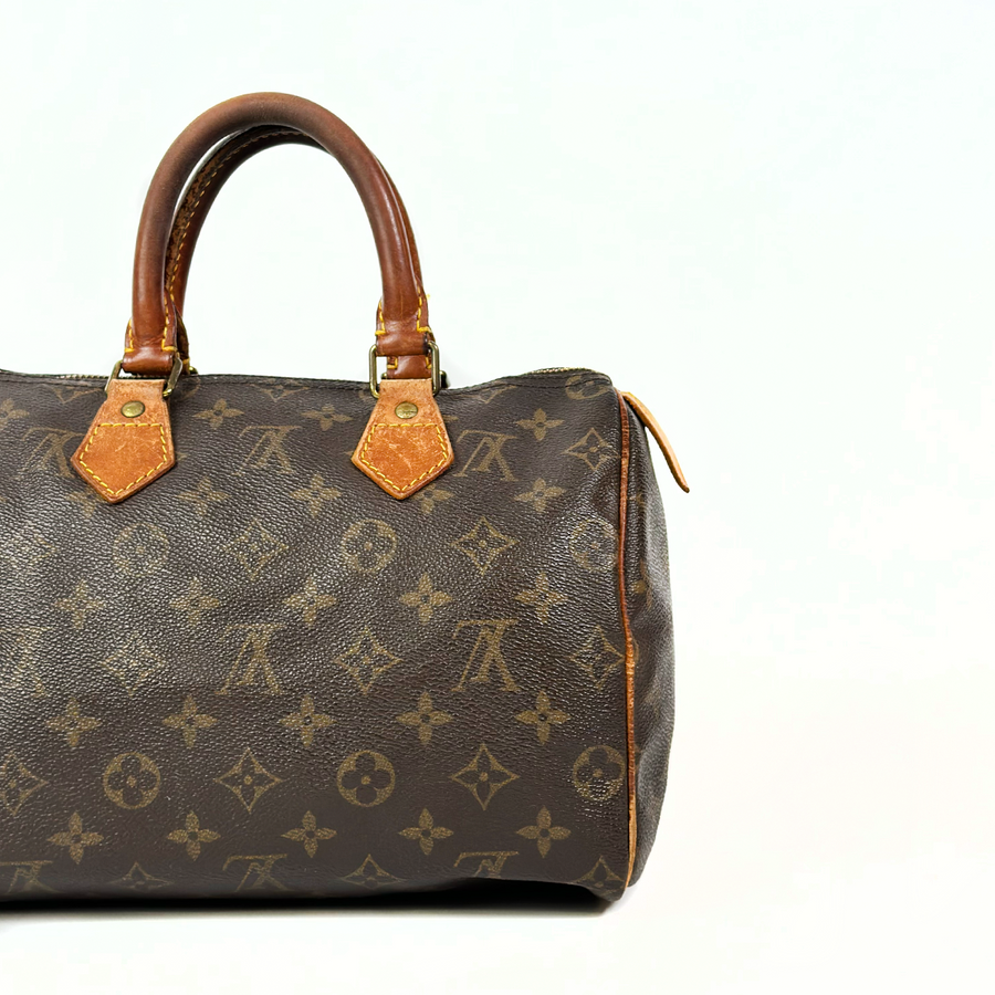 Louis Vuitton Speedy (25)