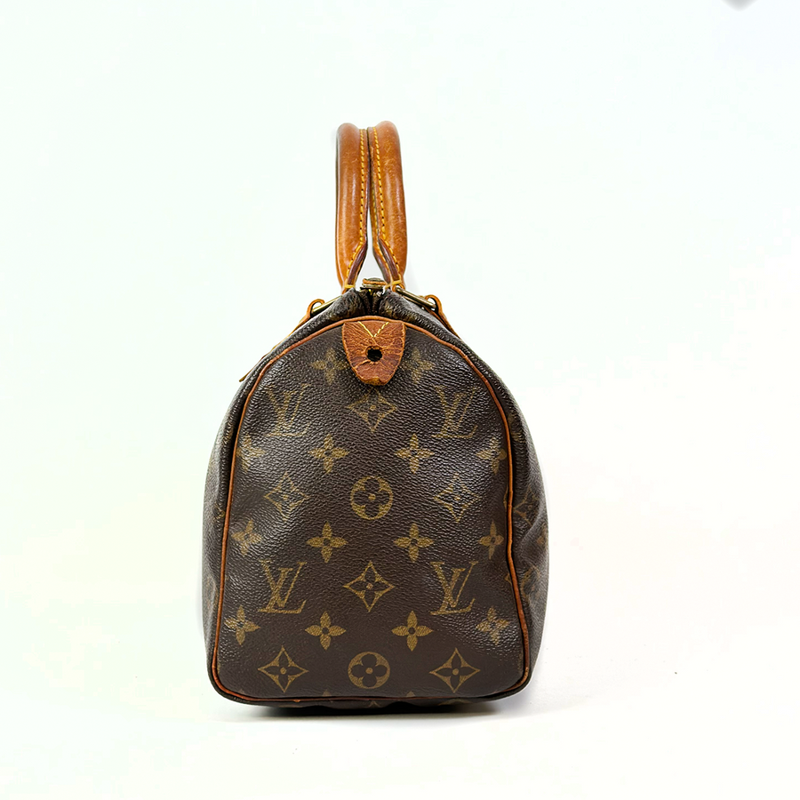 Louis Vuitton Speedy (25)