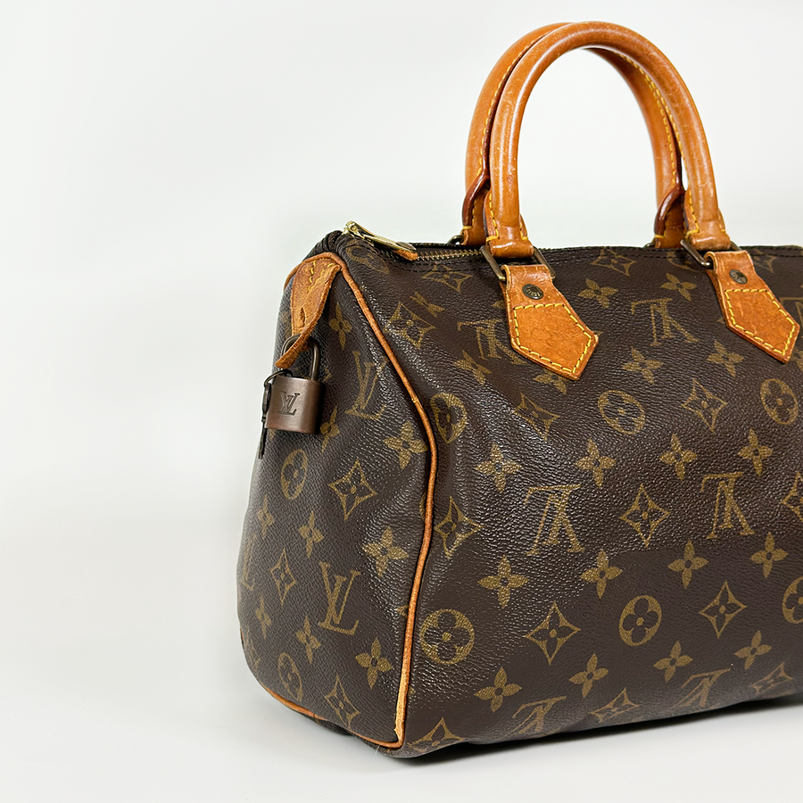 Louis Vuitton Speedy (25)