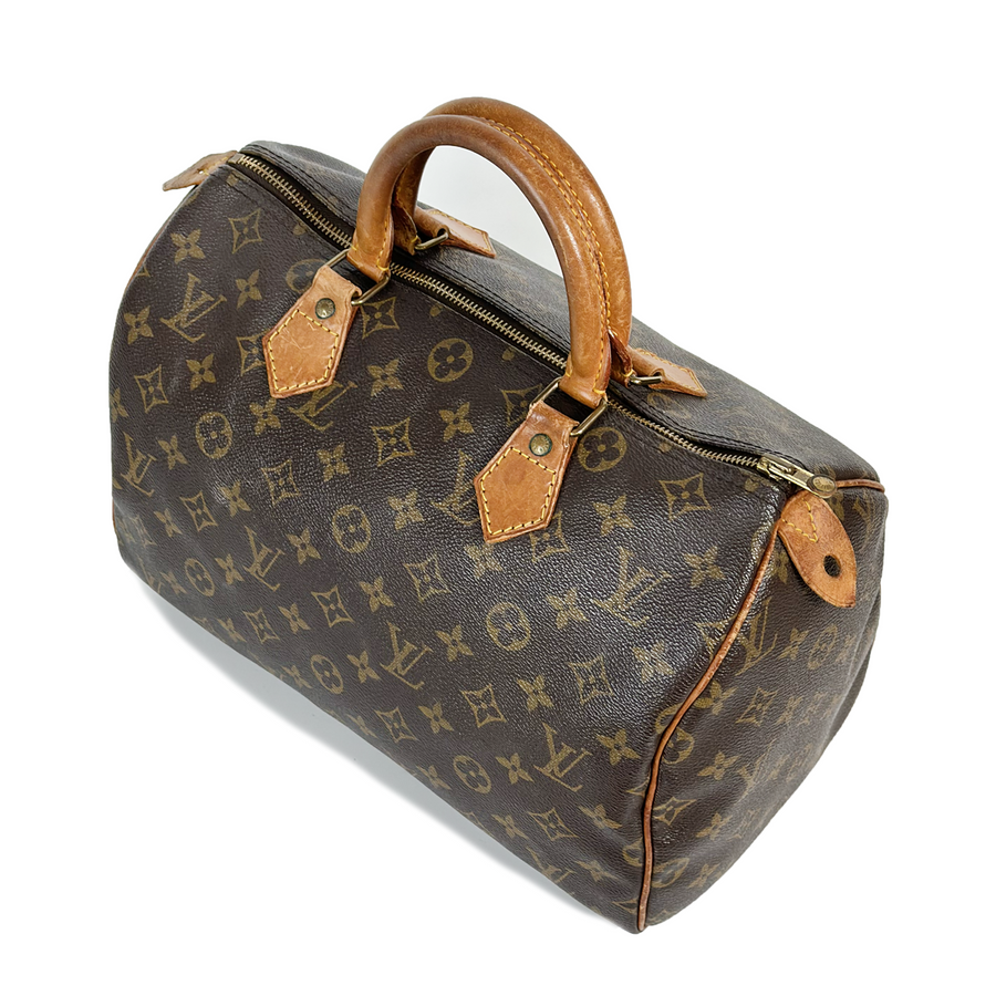 Louis Vuitton Speedy (30)