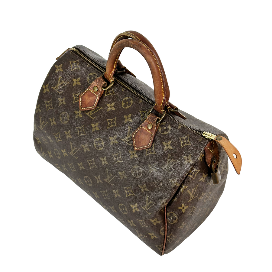 Louis Vuitton Speedy (30)