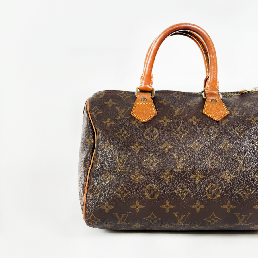 Louis Vuitton Speedy (25)