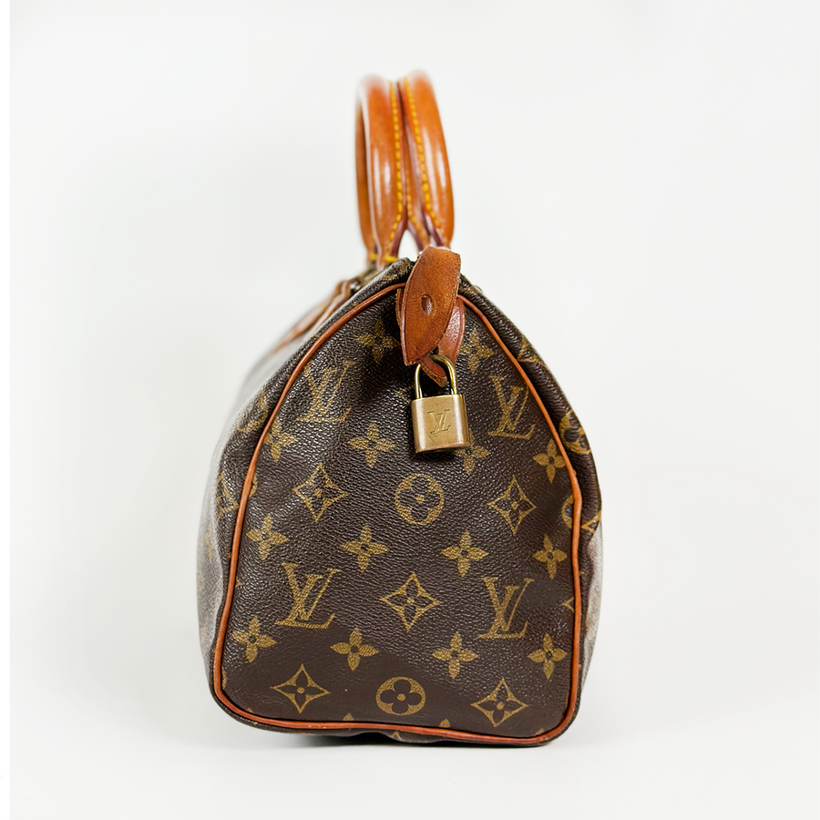 Louis Vuitton Speedy (25)