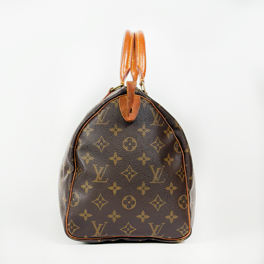 Louis Vuitton Speedy (30)