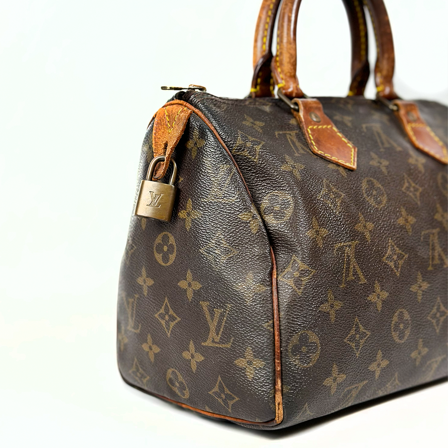 Louis Vuitton Speedy (25)