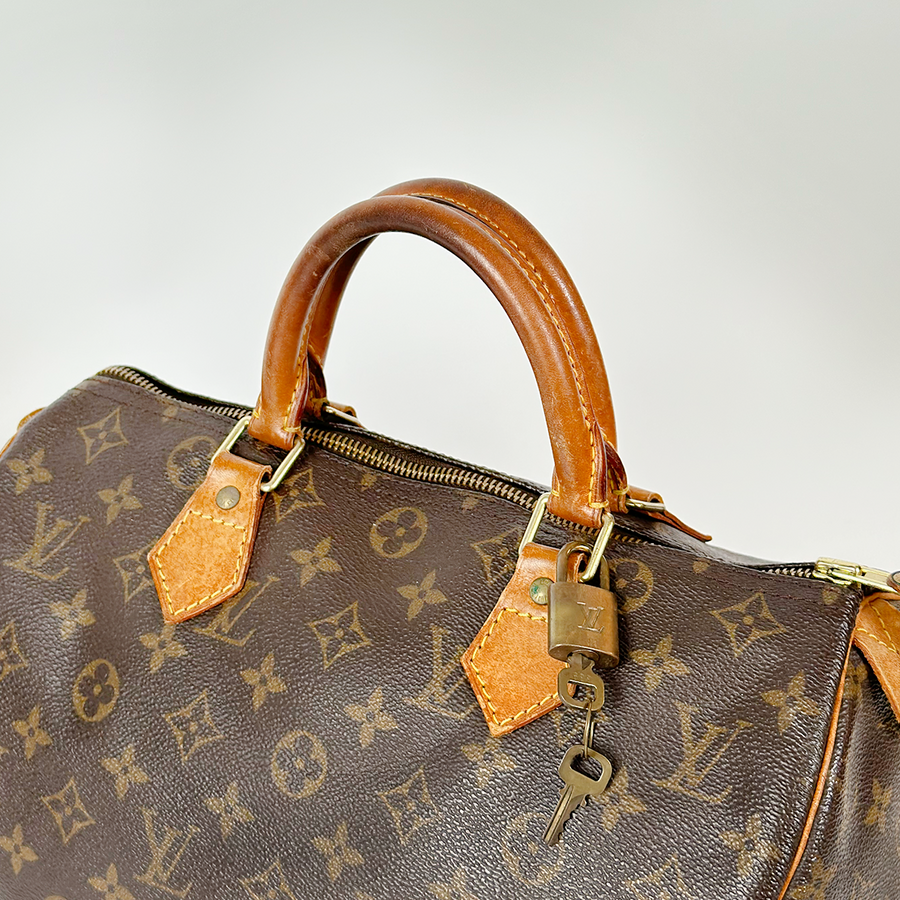 Louis Vuitton Speedy (30)