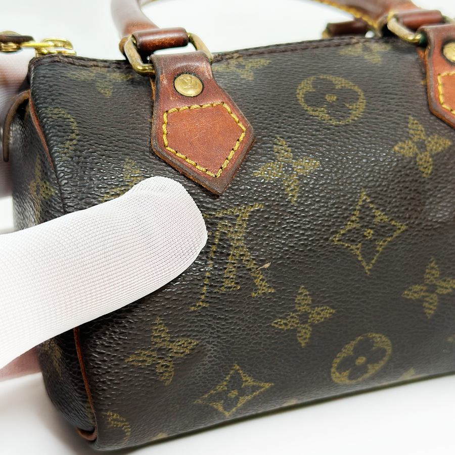 Louis Vuitton Nano Speedy