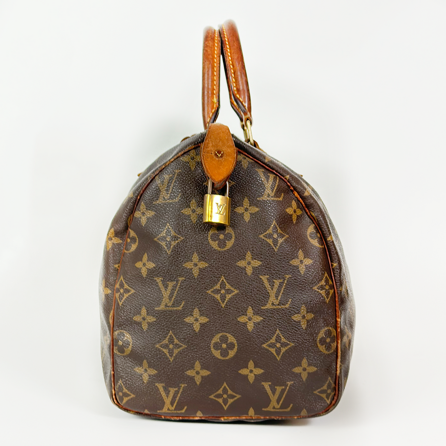 Louis Vuitton Speedy (30)