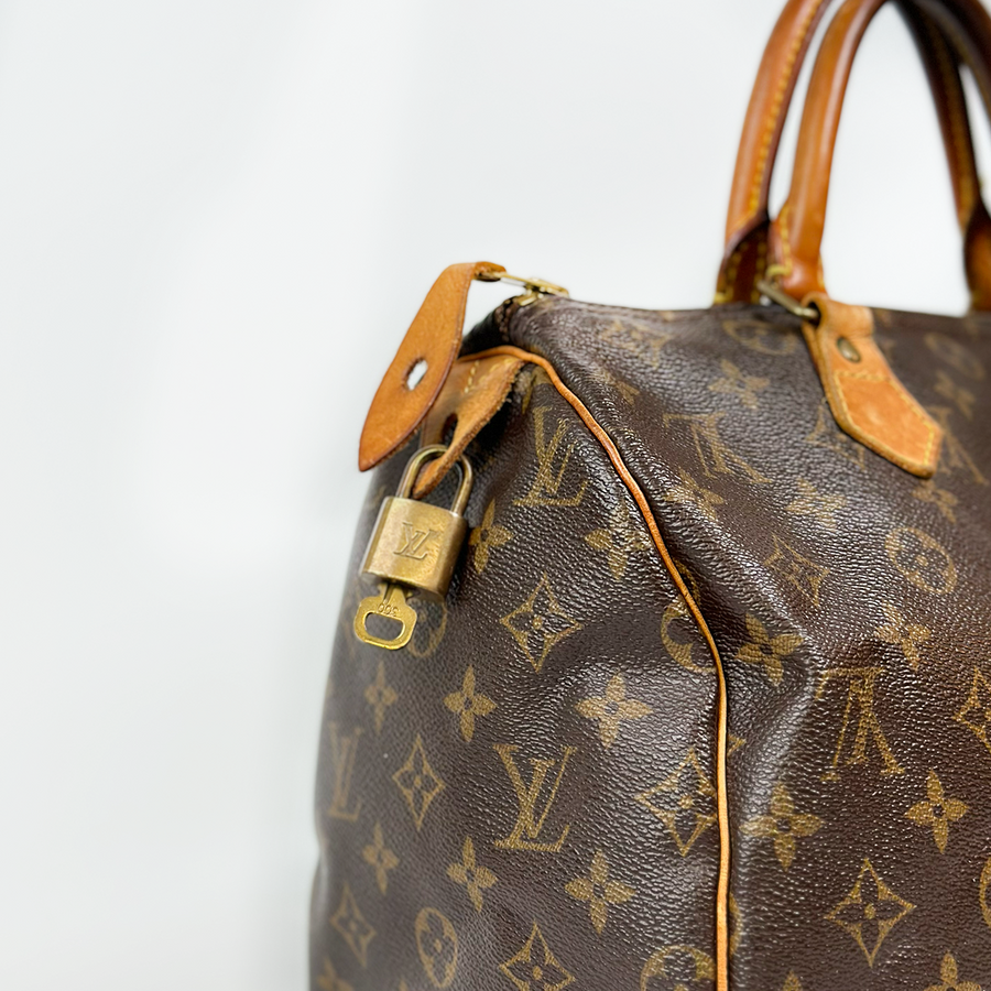 Louis Vuitton Speedy (30)