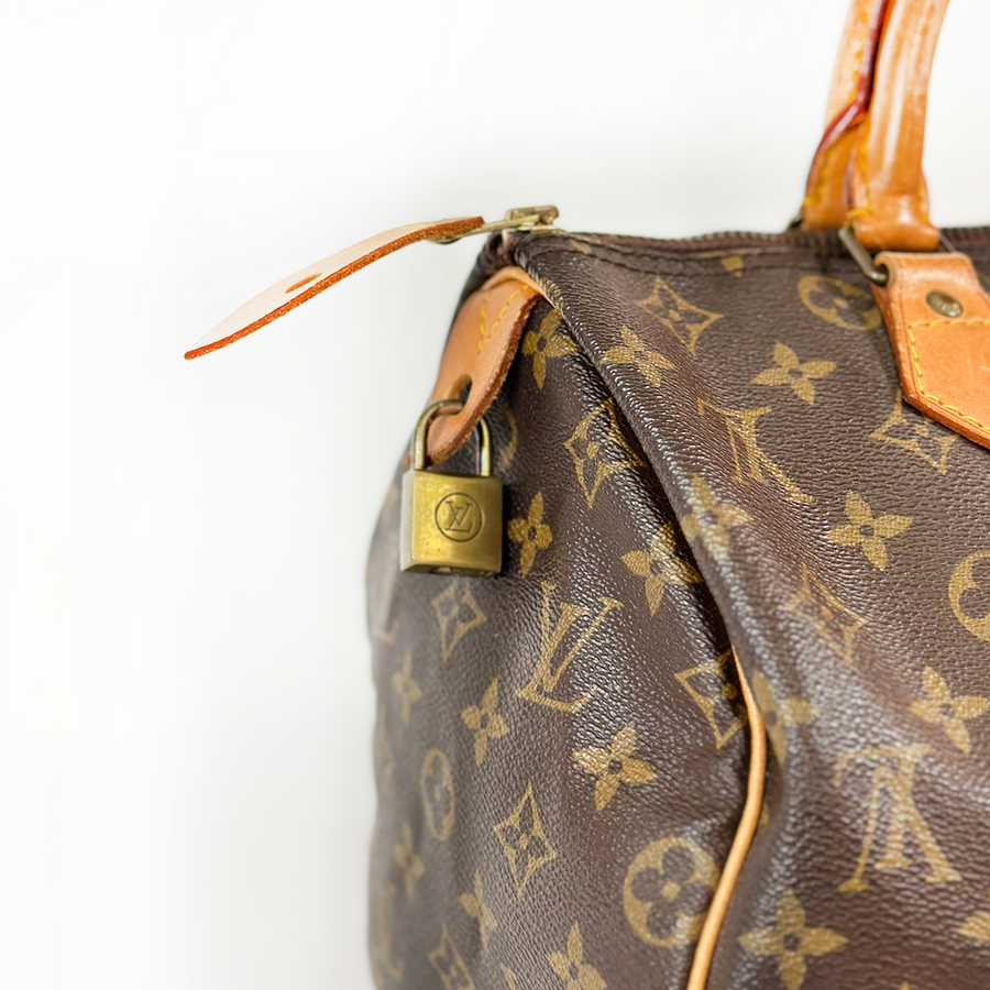 Louis Vuitton Speedy (30)