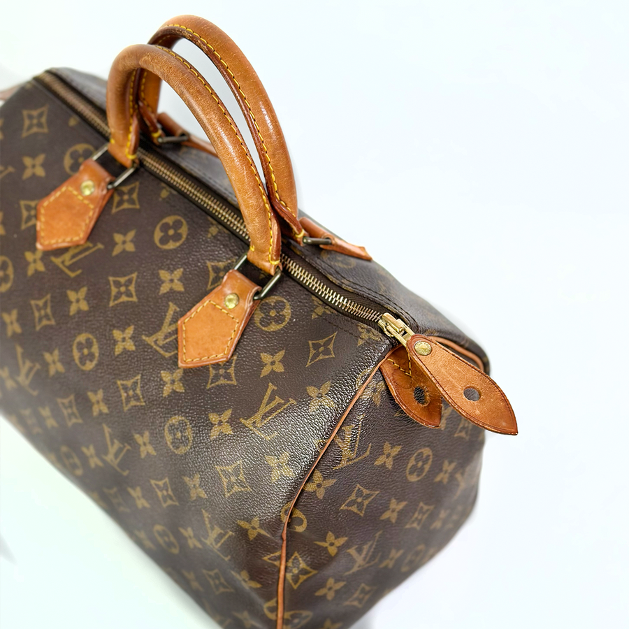 Louis Vuitton Speedy (30)