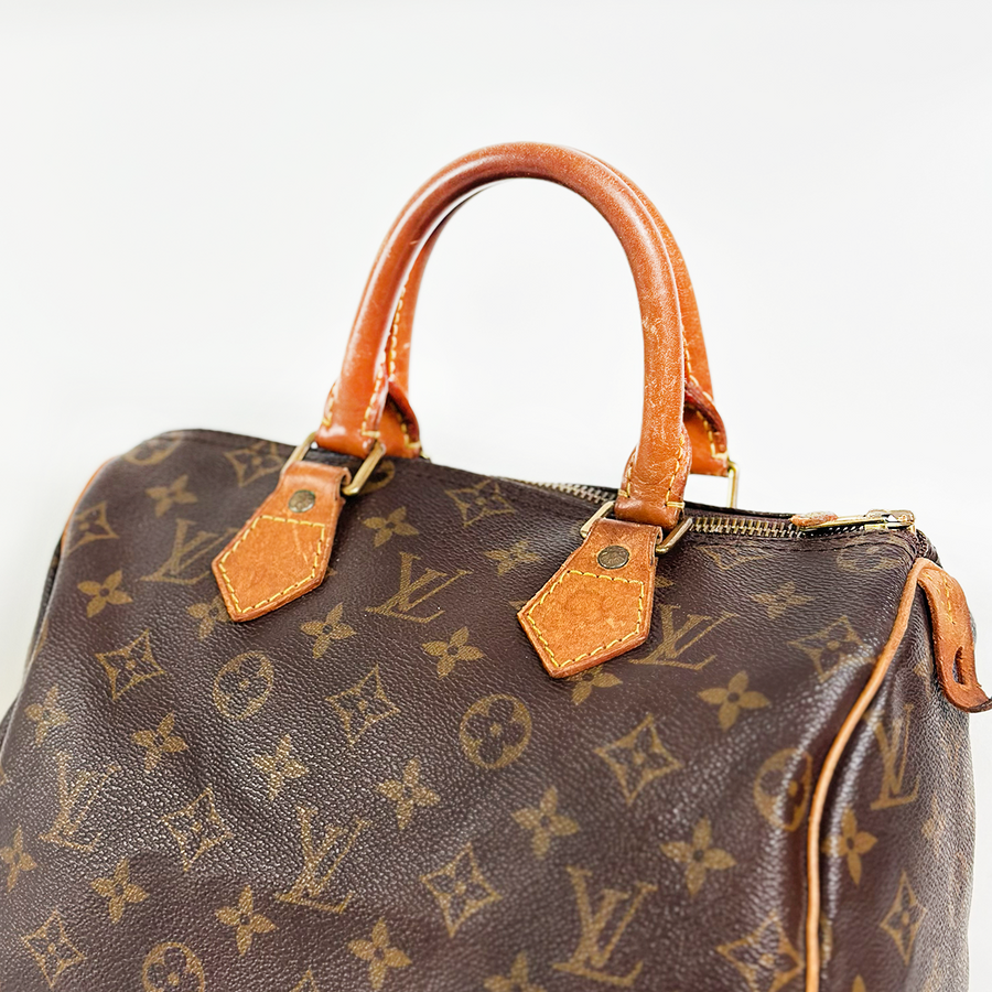 Louis Vuitton Speedy (25)