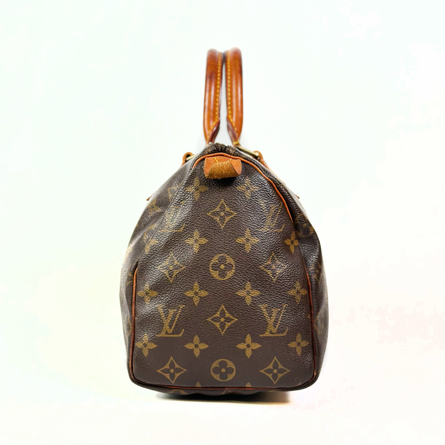 Louis Vuitton Speedy (25)