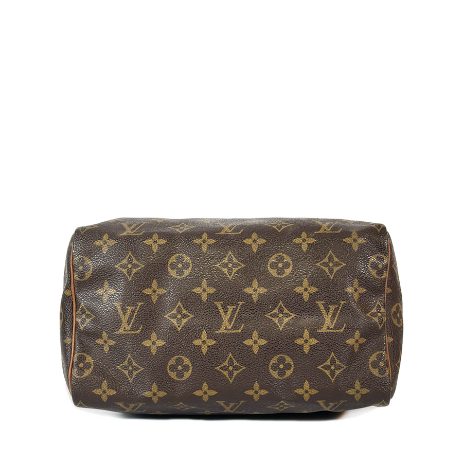 Louis Vuitton Speedy (25)