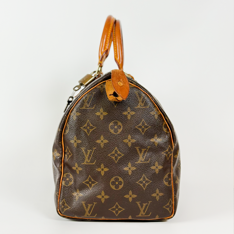 Louis Vuitton Speedy (30)