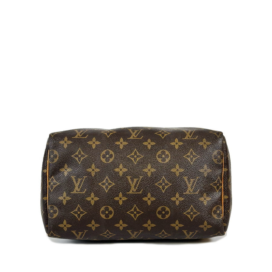 Louis Vuitton Speedy (25)