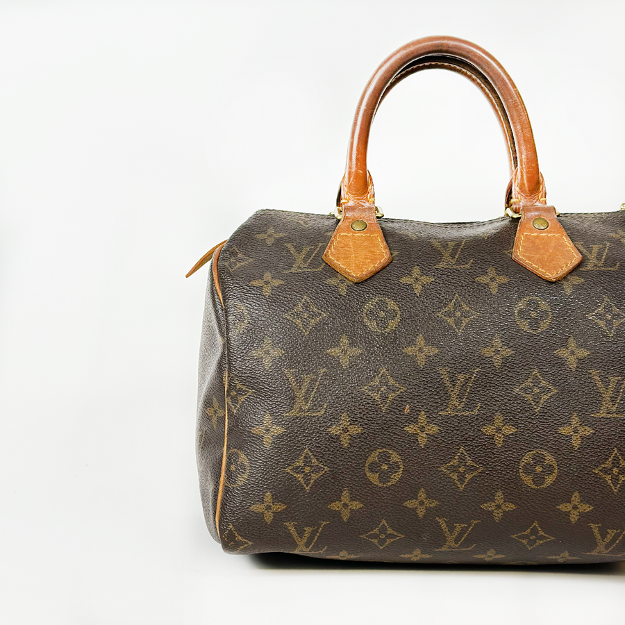 Louis Vuitton Speedy (25)